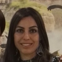 Özlem Elçi