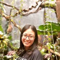Nhung Duong