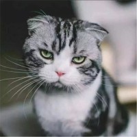 赵志鹏