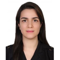 Seyedeh Asim Mirzargar