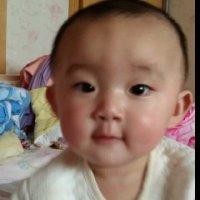 华丽君