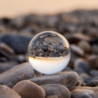 Aurora Denise Salzani