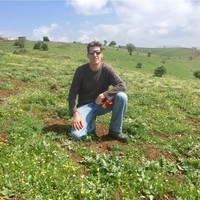 Carmel Yogev