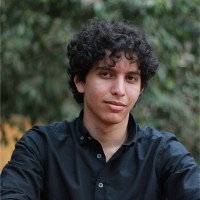 Ali Elsawy