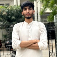 Hamza Mirza