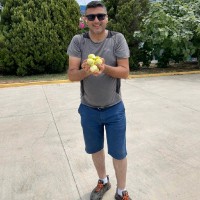 Habib Çiçek