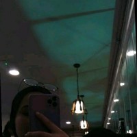 الوردة البيضاء