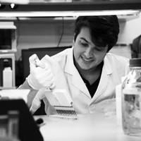 Lewis A. Fraser, PhD