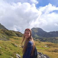 Iris Meijer
