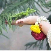 Rubab Liaqat