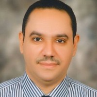 Mohamed Mostafa Amer