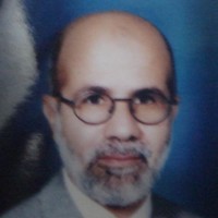 Sayed Hasan