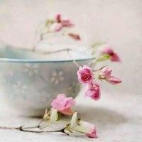 刘敏芝