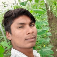 Raju salvi Salvi