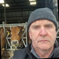 james quinn