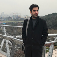 Reza Faghih