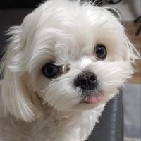 김영천