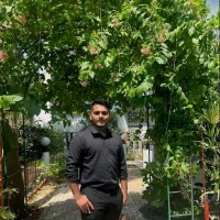 Nishit Ranjan Pachauri