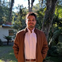 Luis Henrique Marinho Alves