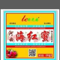 张广龙