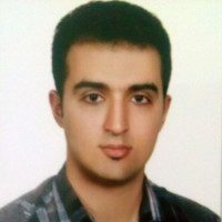 hesam malmir