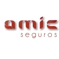 Amic Seguros