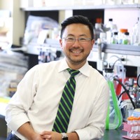 Alfred Kim