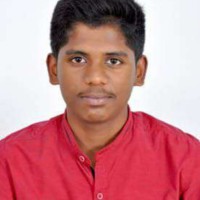 Parthasarathi P