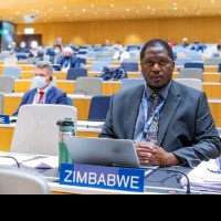 Tanyaradzwa Milne Manhombo