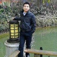 杨延年