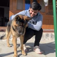 Ketan S.