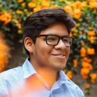 Brayan Paul Cortez Araujo