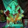 Nimesh Gosavi