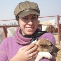 Sara El Sherif