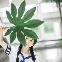 龙小菊