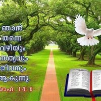 Biju Thomas