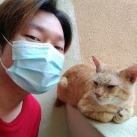 洪小雄