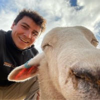 Matias Ochoa