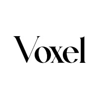 Voxel Agency
