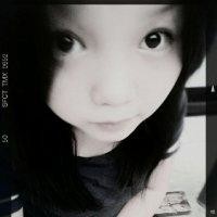 杨丽花