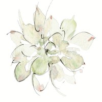 Stéphanie Clémarès