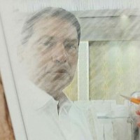 THE PROPERTY NETWORK