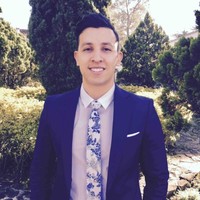 Andres Peñaloza, P.E.