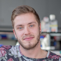 Pieter Langerhorst