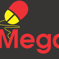 Mega IT Store