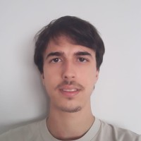 Ivan M Ferlauto