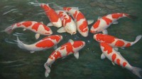 陈煜栋