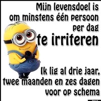 Merel Willems