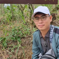 Wright Nguyen