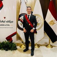 Muhamed E.Hamaly